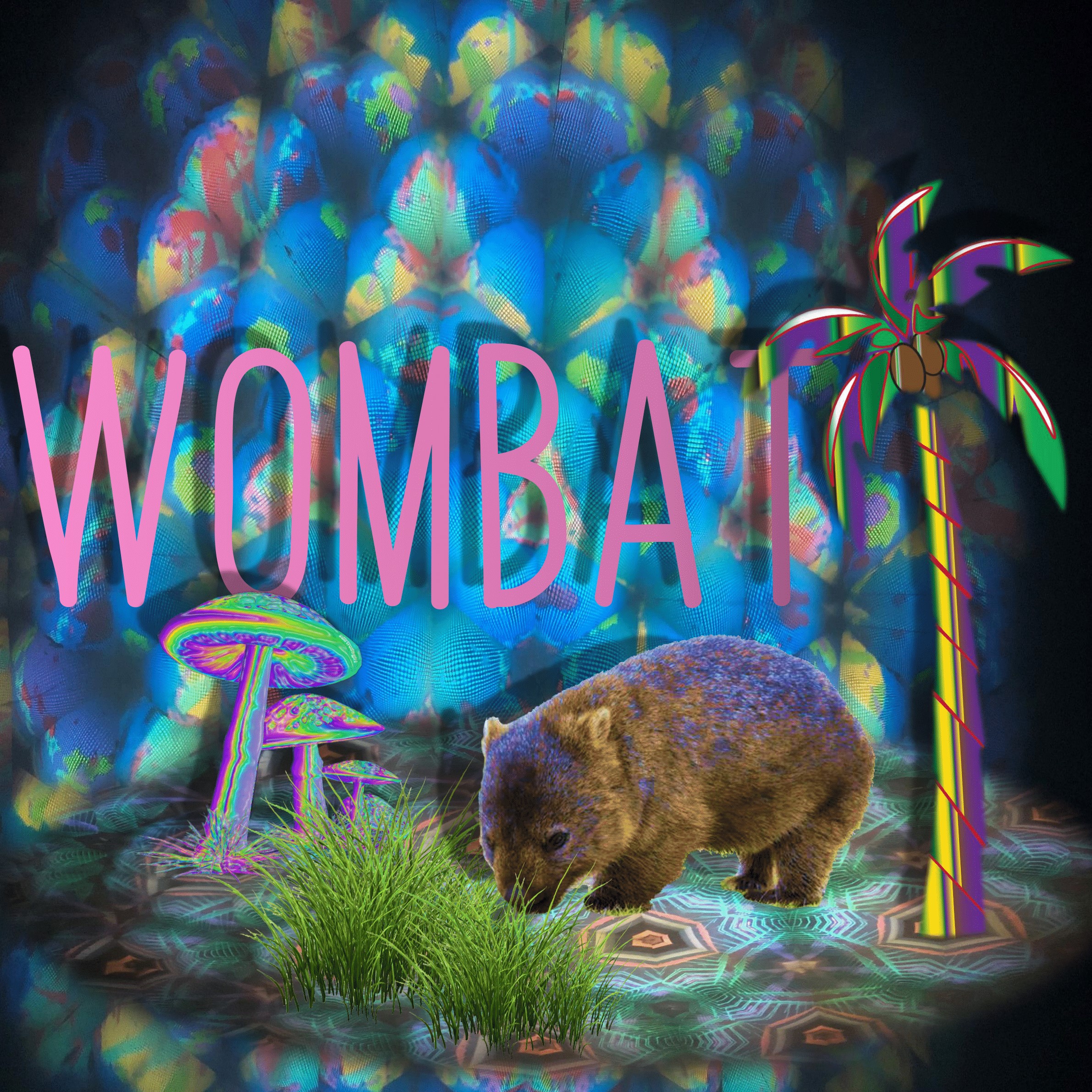 wombat dorm room ambiance